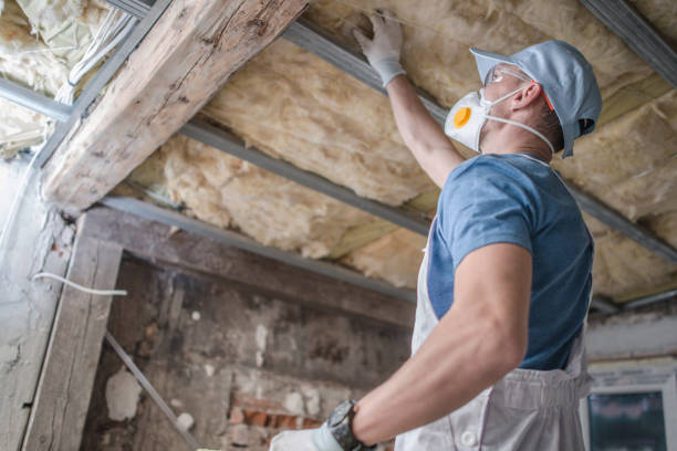Best Insulation Maintenance and Repair in Elverta, CA
