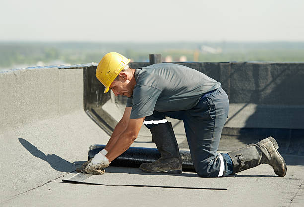 Best Insulation Installation Services in Elverta, CA